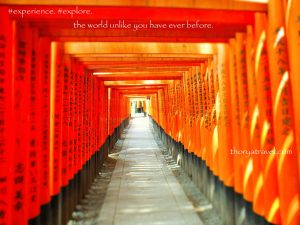 Experience, explore Japan.