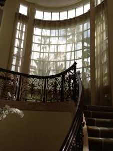 Beverly hills palms