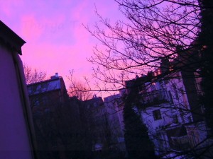 Brussels Vanilla Sky