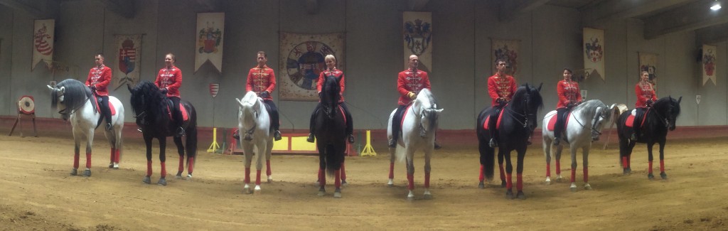 Hungarian Horse Show