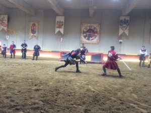 Sword Fight