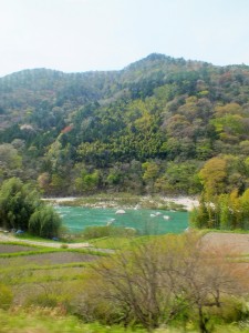 Koya train view