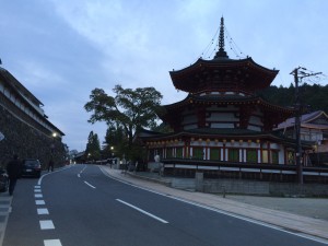 Koya san