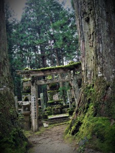 Okoin Cemetary Japan
