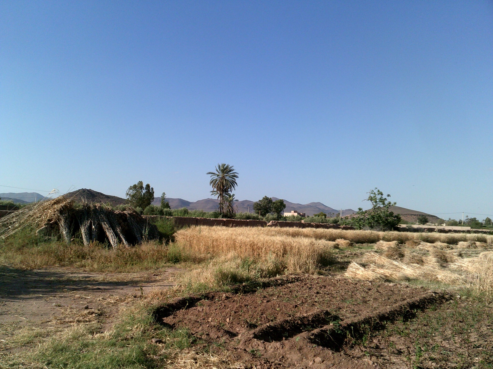 Moroccan Farm